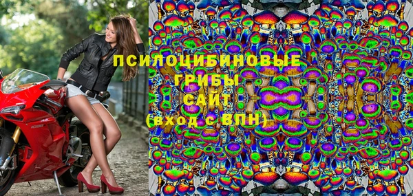 spice Михайлов